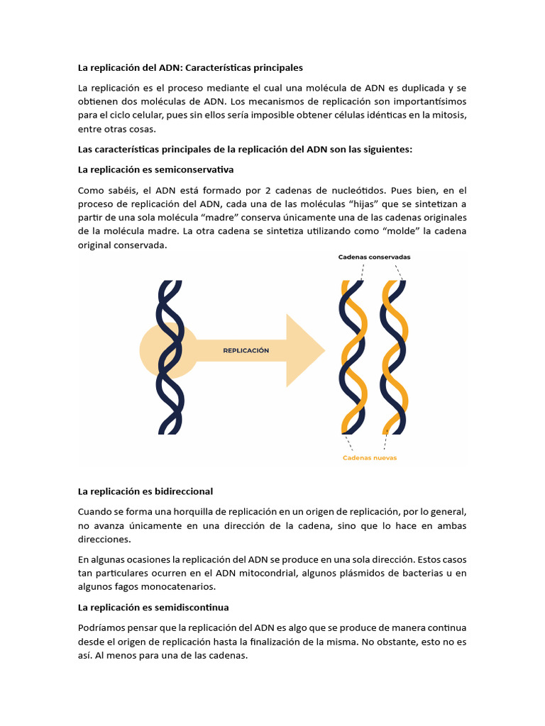 La Replicación Del ADN | PDF