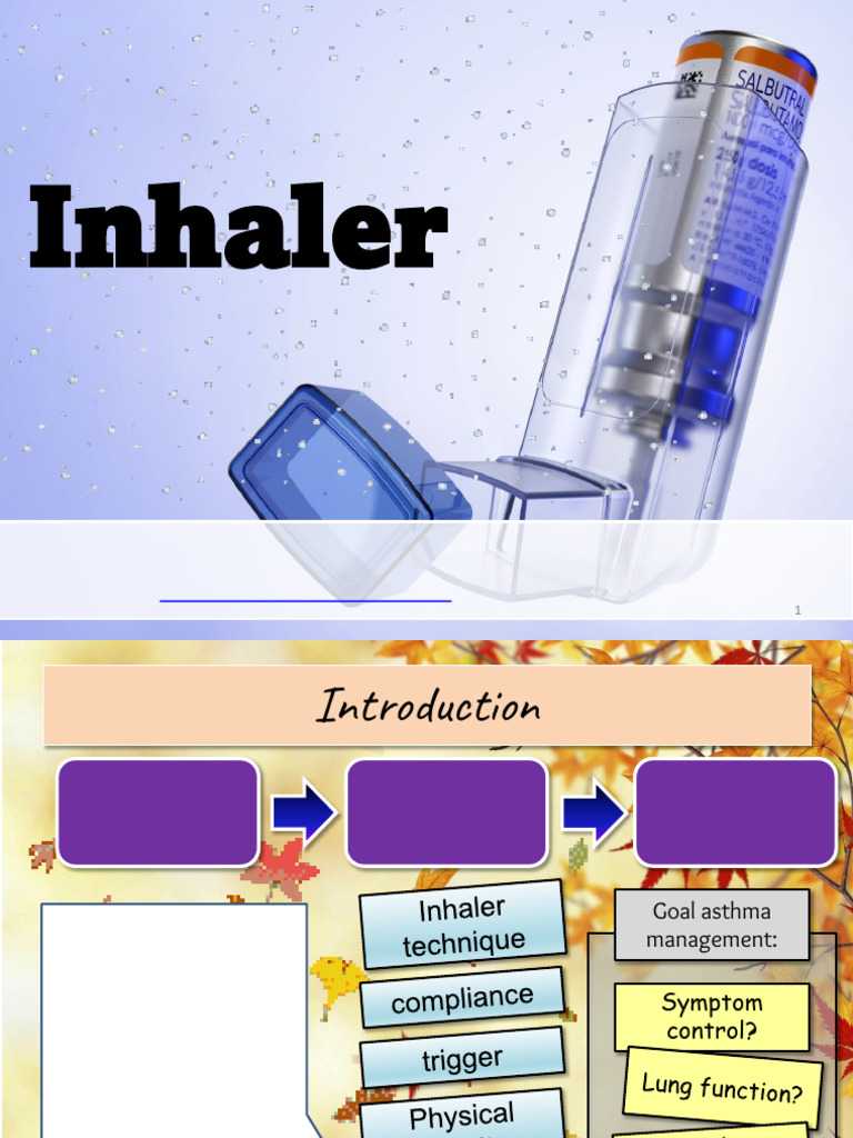 Terapi Inhaler (23 Juli 23) (Kirim) | PDF
