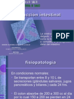 Obstrucción Intestinal (DIMS)
