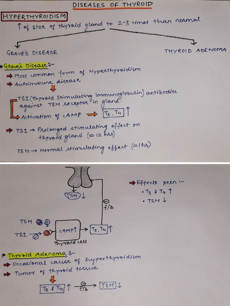 Hyperthyroidism And Hypothyroidism Pdf