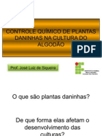 Controle de Plantas Daninhas