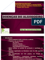 ALGODOENÇAS