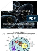 Animal Cell Structure and Function Teacher