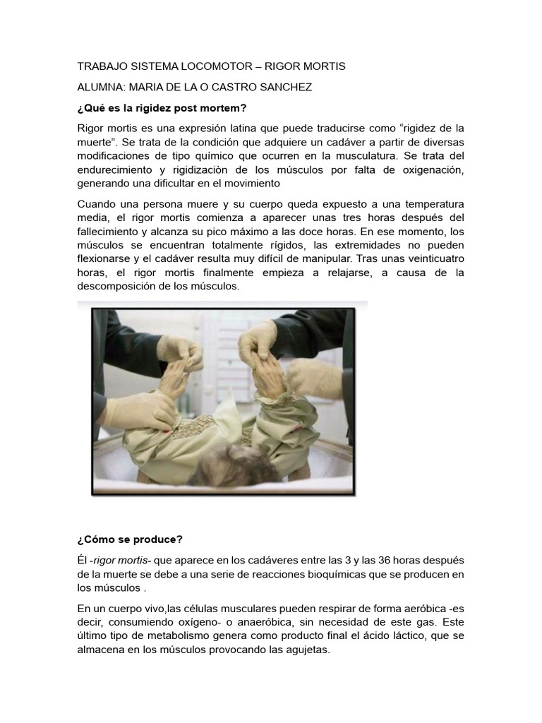 Trabajo Anatomia Sistema Locomotor - Rigor Mortis | PDF