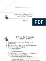 Pedagogo Papel Escola Publica