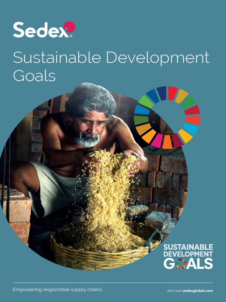 Sedex+Sustainable+Development+Goals+ +Full+Report | PDF
