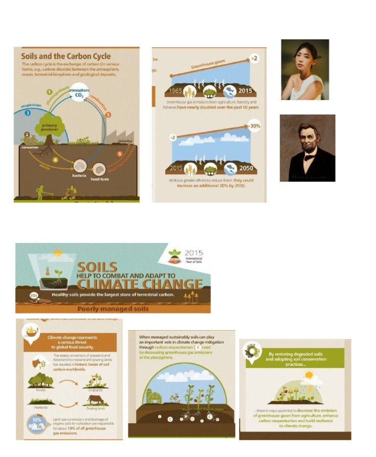 Perdev Infographics | PDF