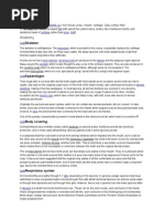 Download Chondrichthyes by mey_maya51 SN76910661 doc pdf