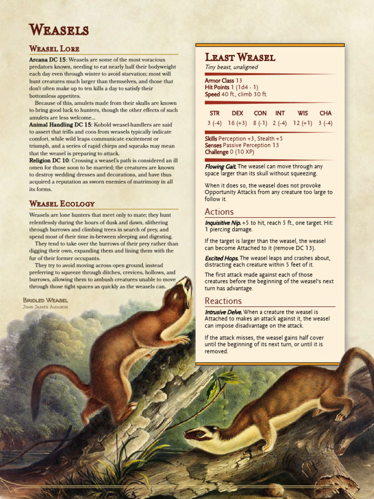 Weasels | PDF