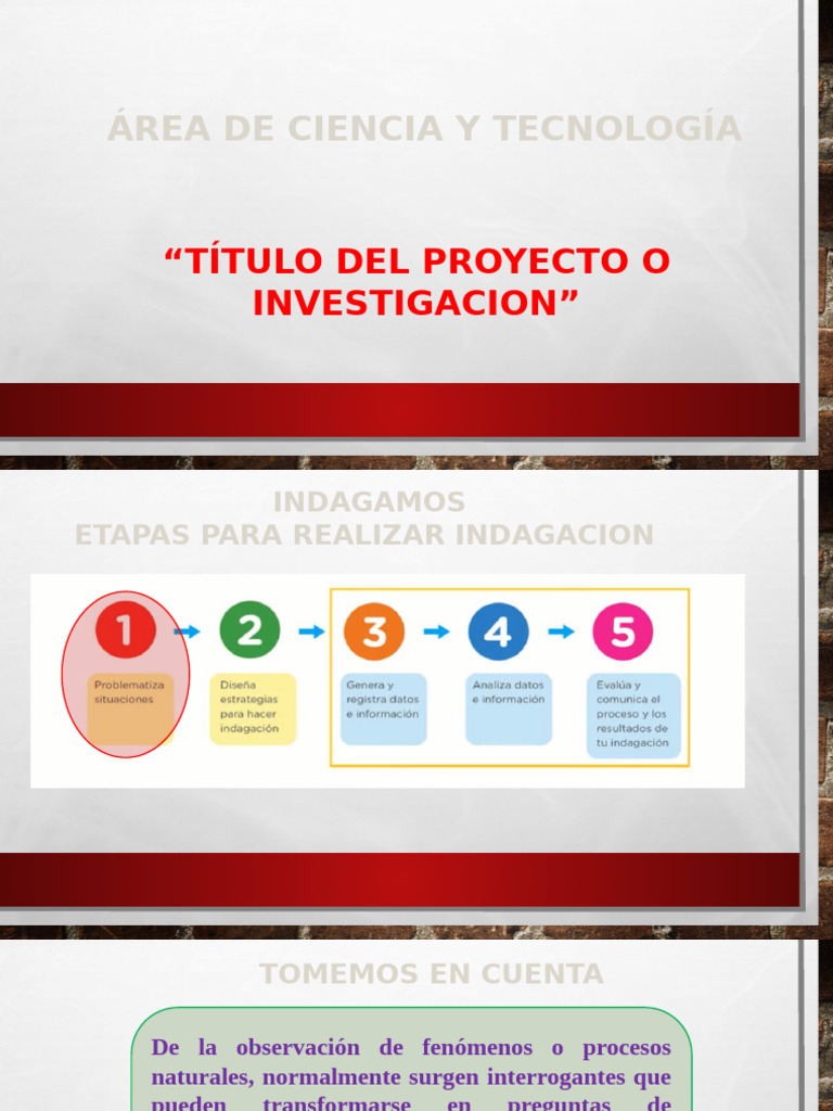 Pasos Como Elaborar El Proyecto de Investigacion 2024 | PDF