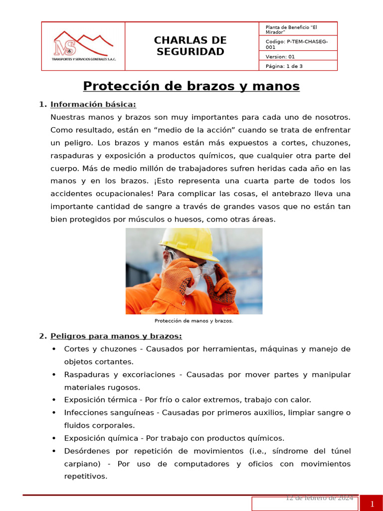 12.02.24 Protección de Brazos y Manos | PDF