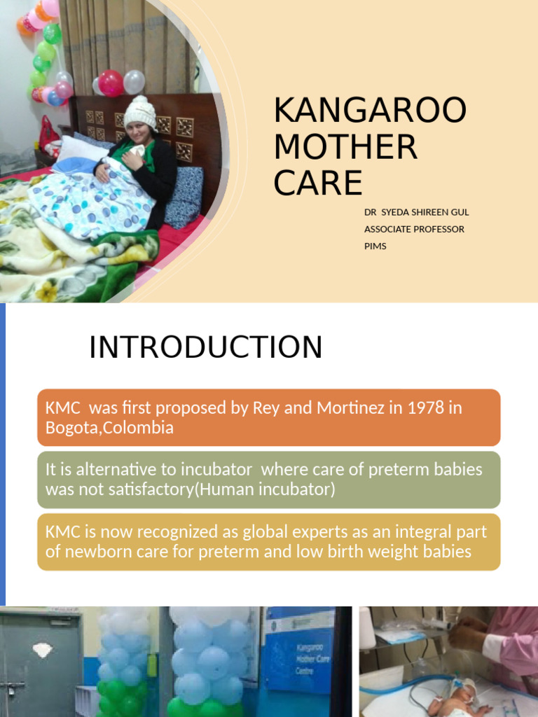 pims-kmc-pdf