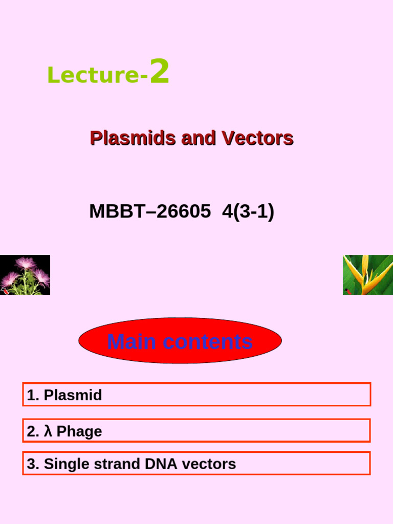 Plasmids and Vectors Overview | PDF | Plasmid | Science & Mathematics