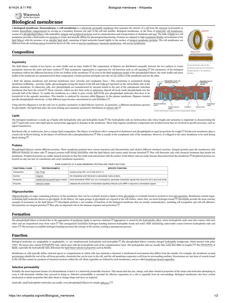 Biological Membrane - Wikipedia | PDF