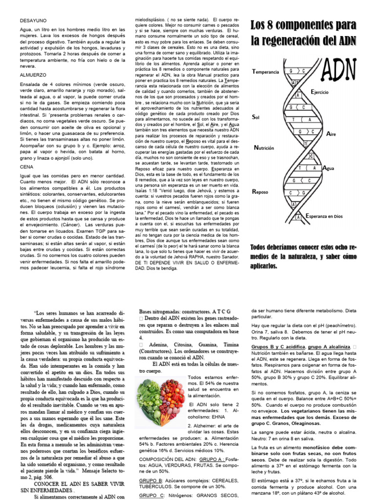 8 Leyes Adn | PDF