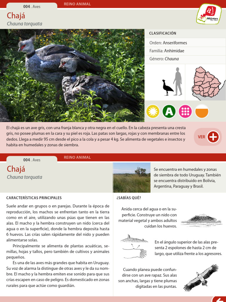 004 Chaja | PDF