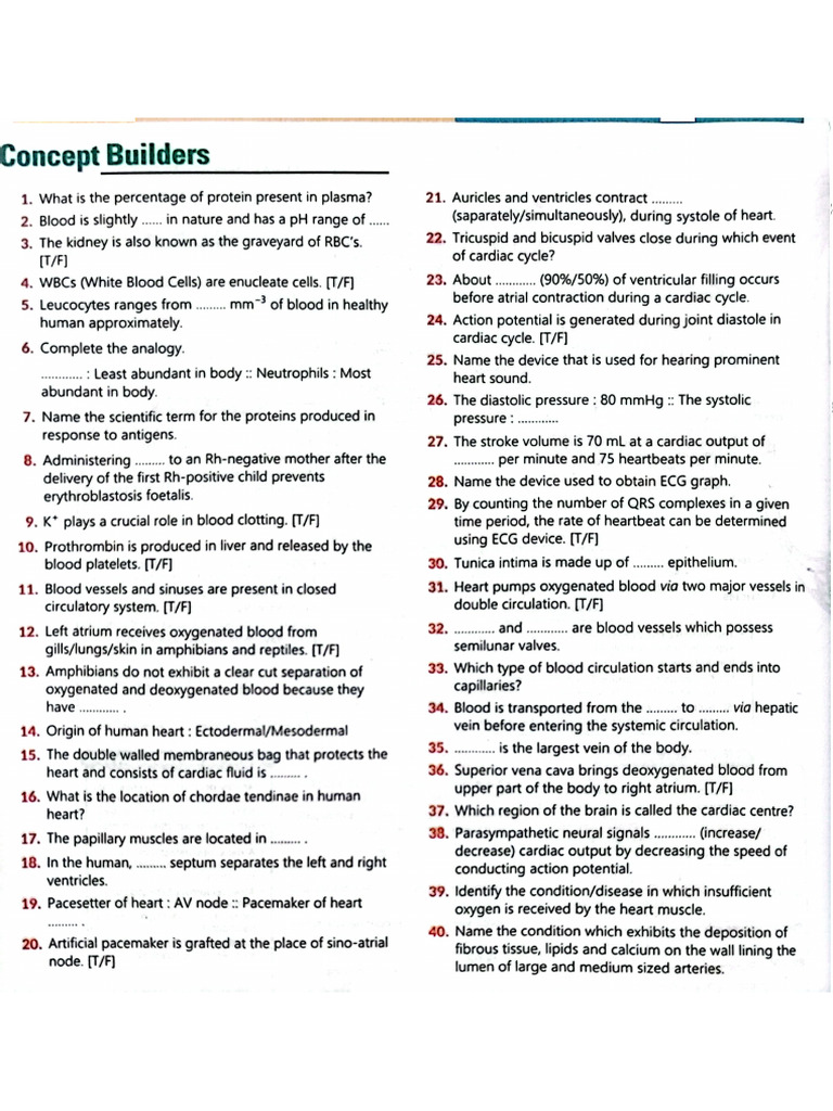 Body Fluids Circulation Concept Builder - 30862247 | PDF