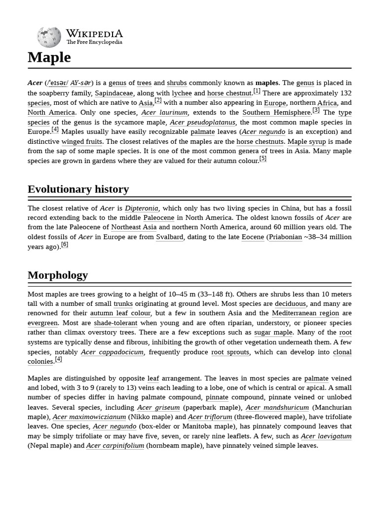 Maple | PDF