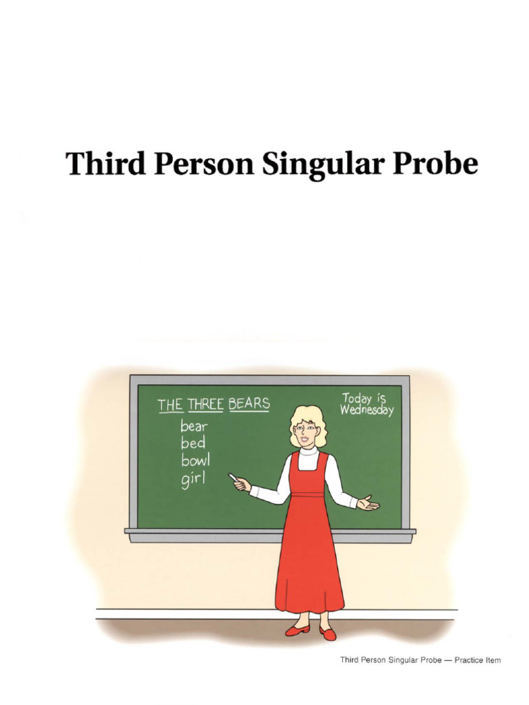TEGI Third Person Singular Probe | PDF