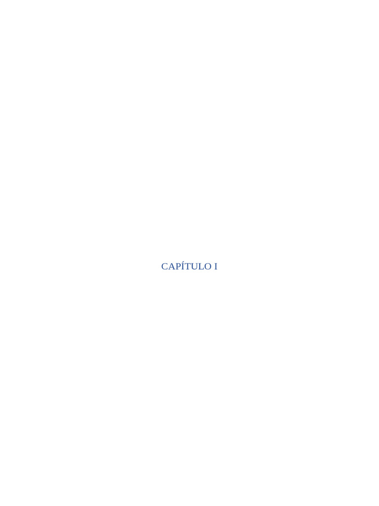 Capítulo I | PDF