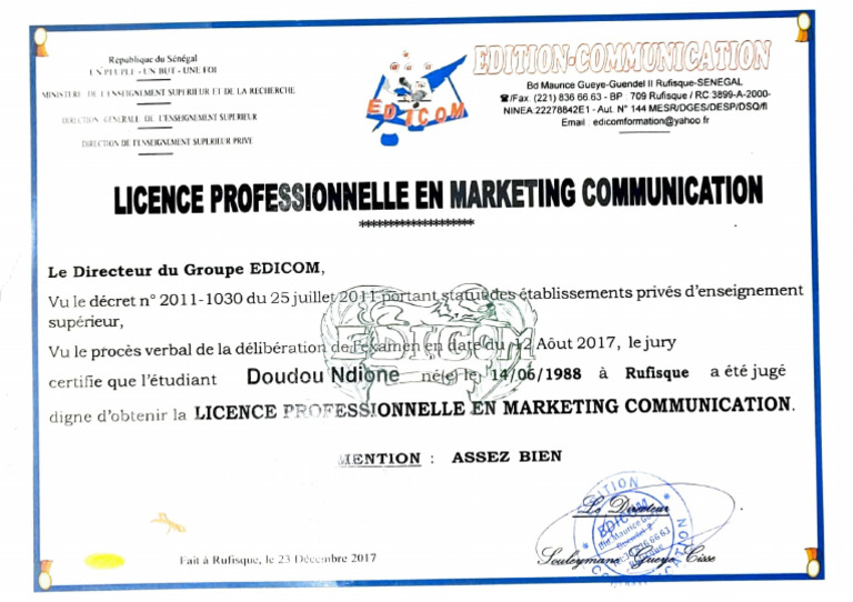 Licence Pro en Marketing Communication | PDF