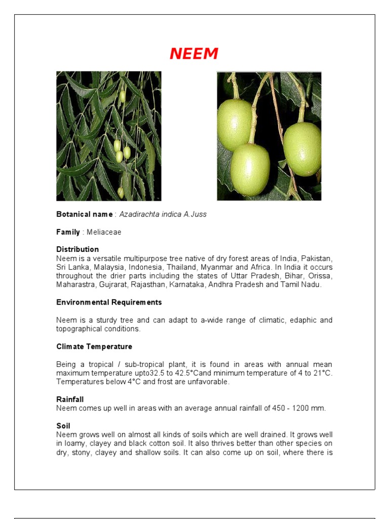 Neem Tree: Adaptation and Distribution | PDF | Trees | Soil