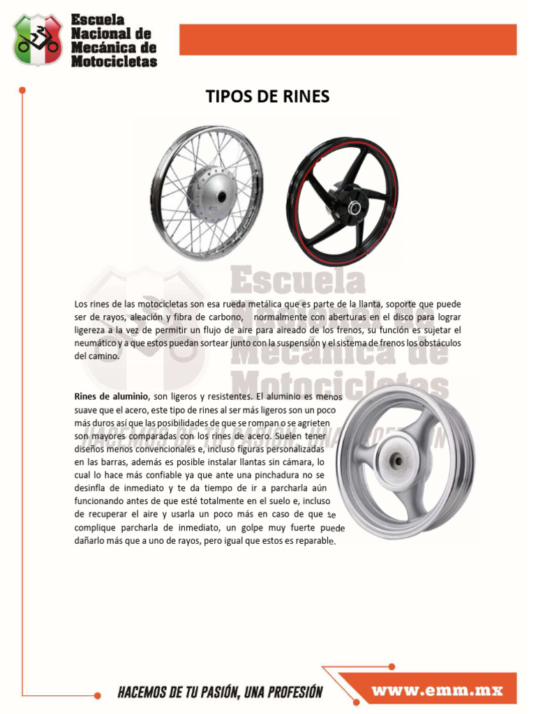 Tipos de Rines | PDF