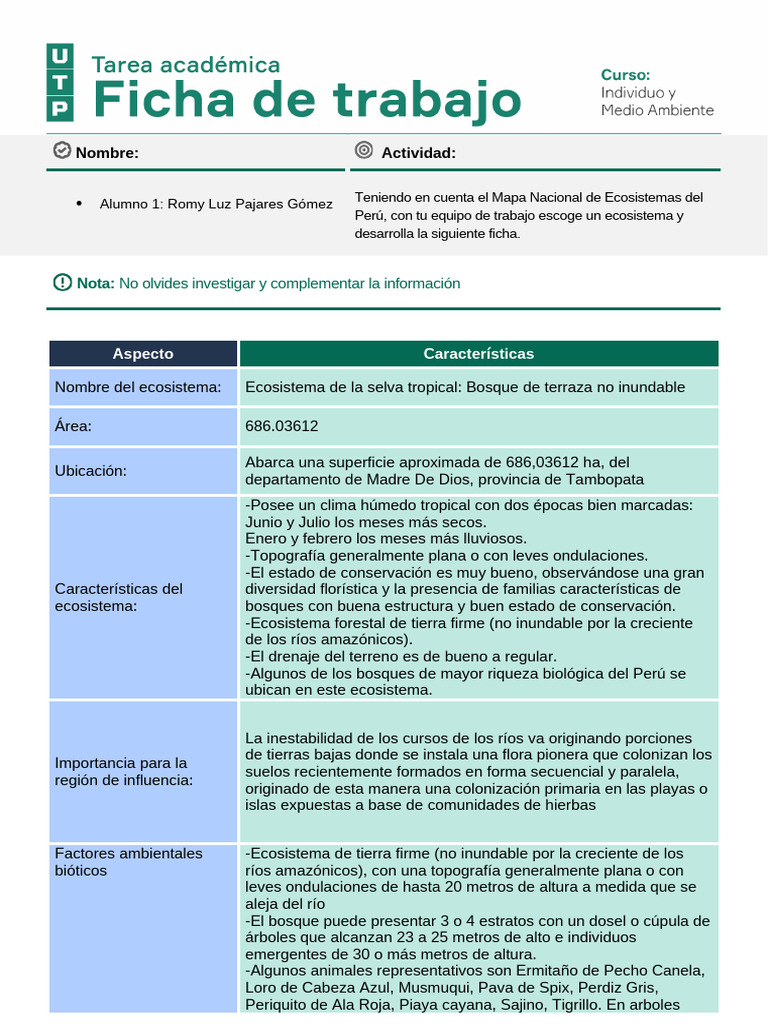 Romy Luz - Pajares Gomez - TS2 | PDF