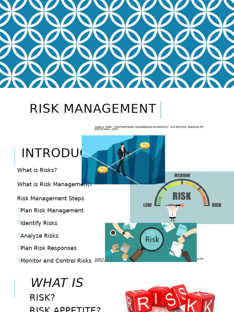 PPT2-Risks Management | PDF