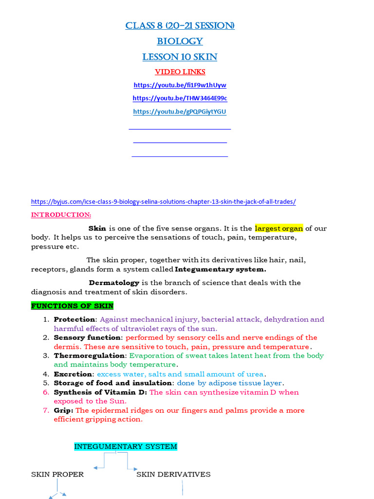 CLASS 8 (20-21 SESSION) Biology Lesson 10 Skin | PDF
