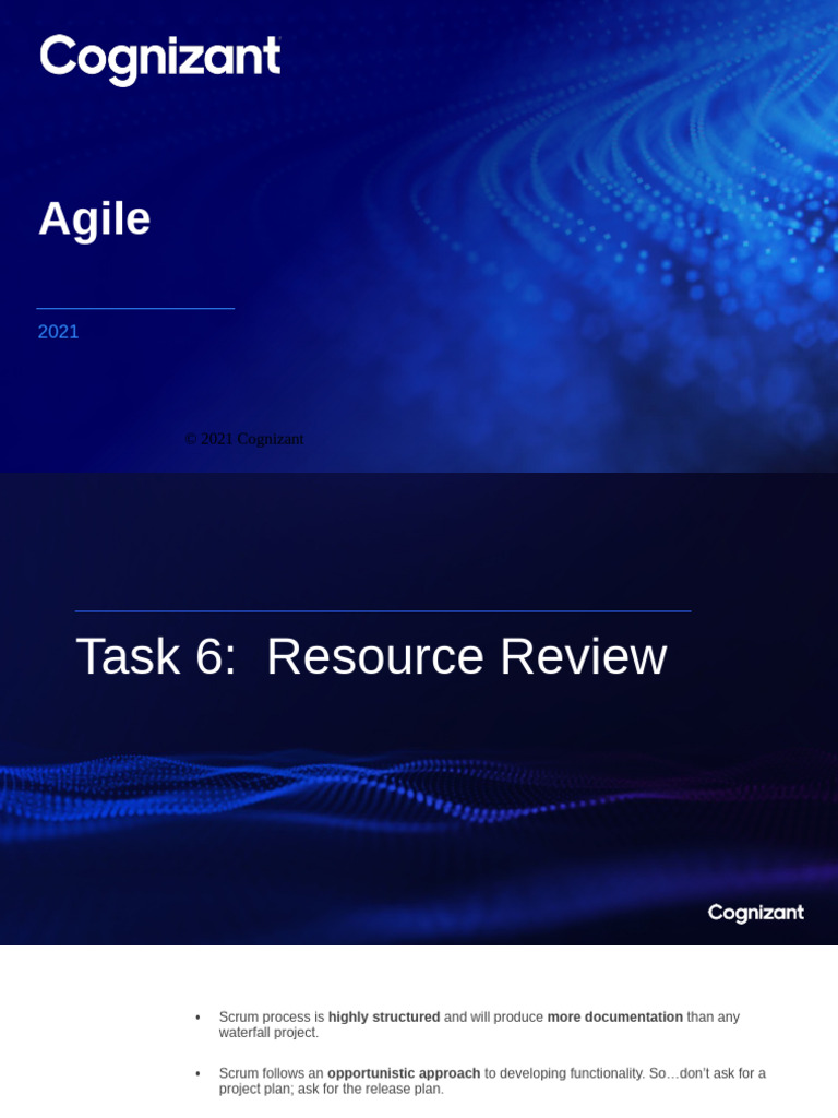 Cognizant Information For Task 6 | PDF