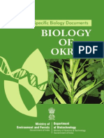 Biology of Okra