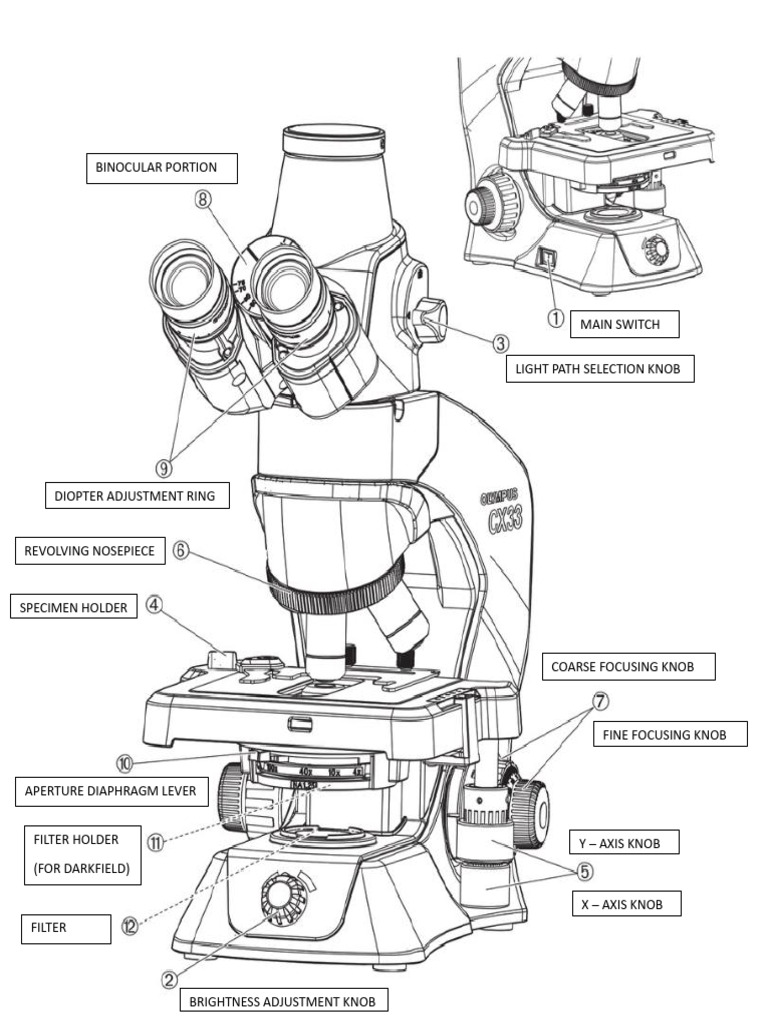 Olympus Cx33 | PDF