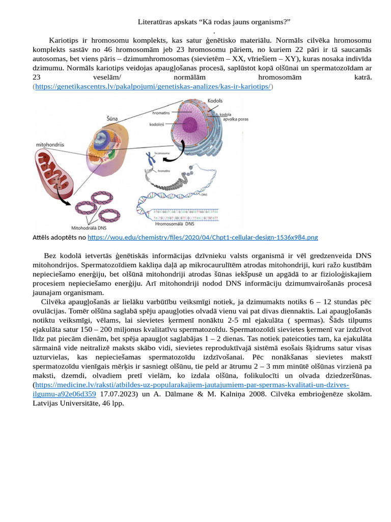 Literaturas Apraksts - Kā Rodas Jauns Organisms | PDF