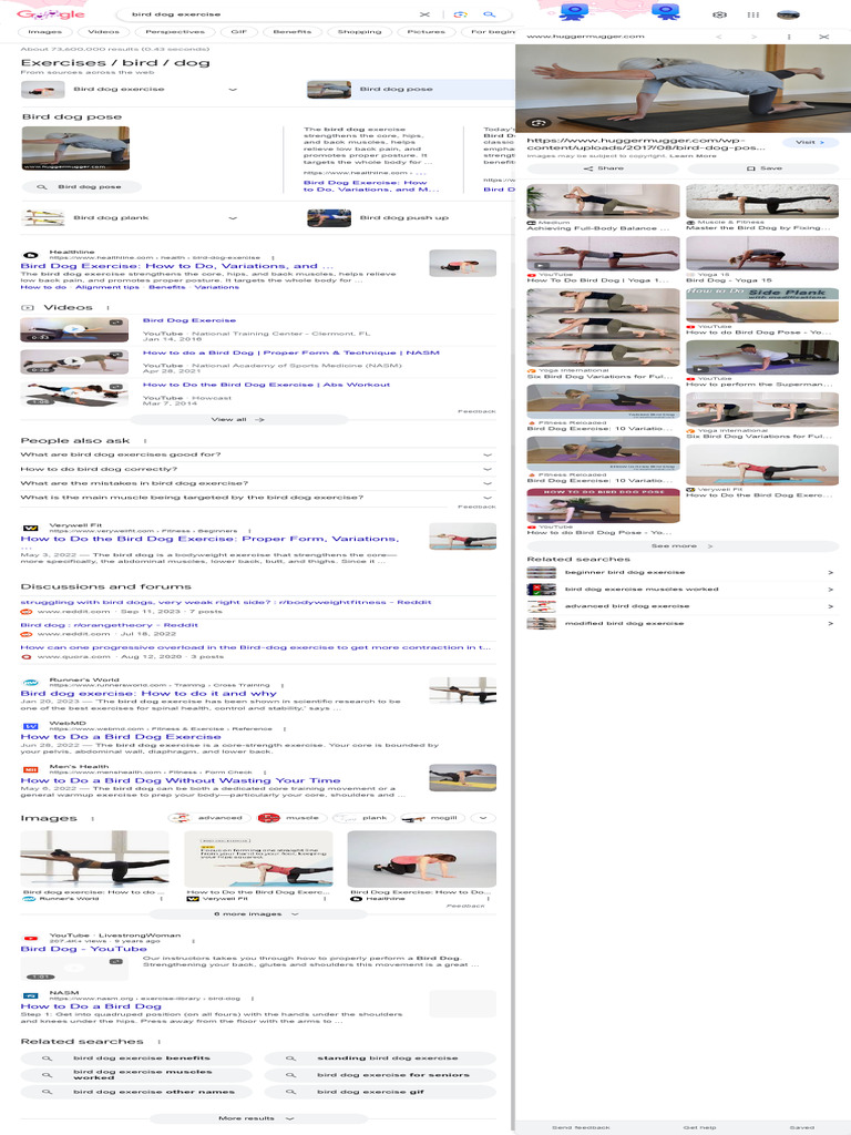 Bird Dog Exercise - Google Search | PDF