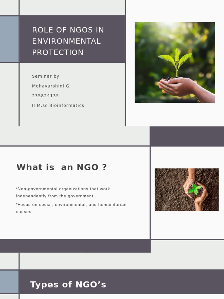 Role of NGOs in Environmental Protection | PDF | Non Governmental ...