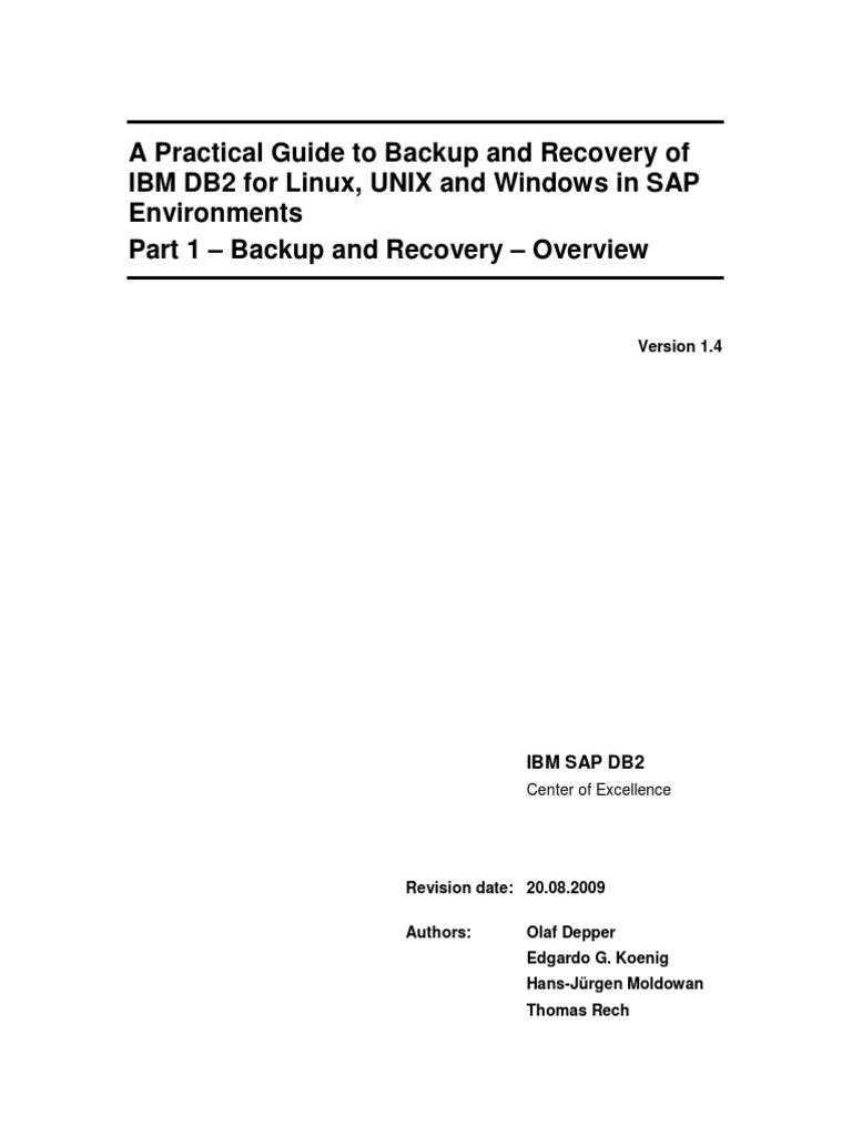 IBM Backup and Recovery Guide of DB2 in SAP Environments | PDF | Backup ...