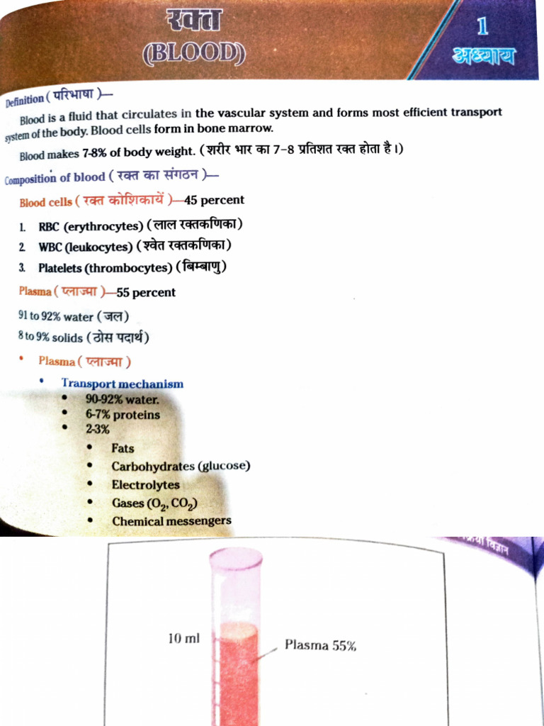 Blood | PDF