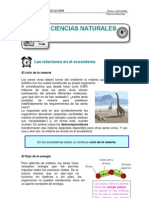 3 Las Relaciones en El Ecosistema