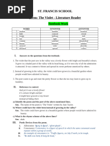 TheViolet Q and Answers2