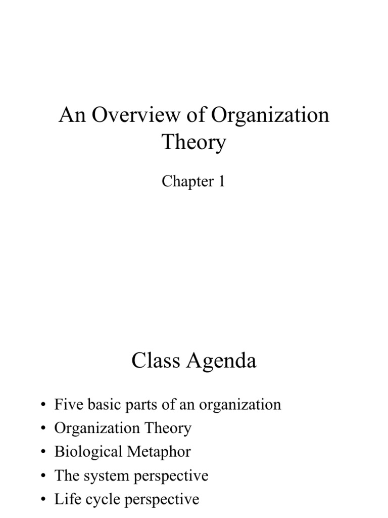 Lecture 1 Overview of Organization Theory | PDF | System | Strategic ...