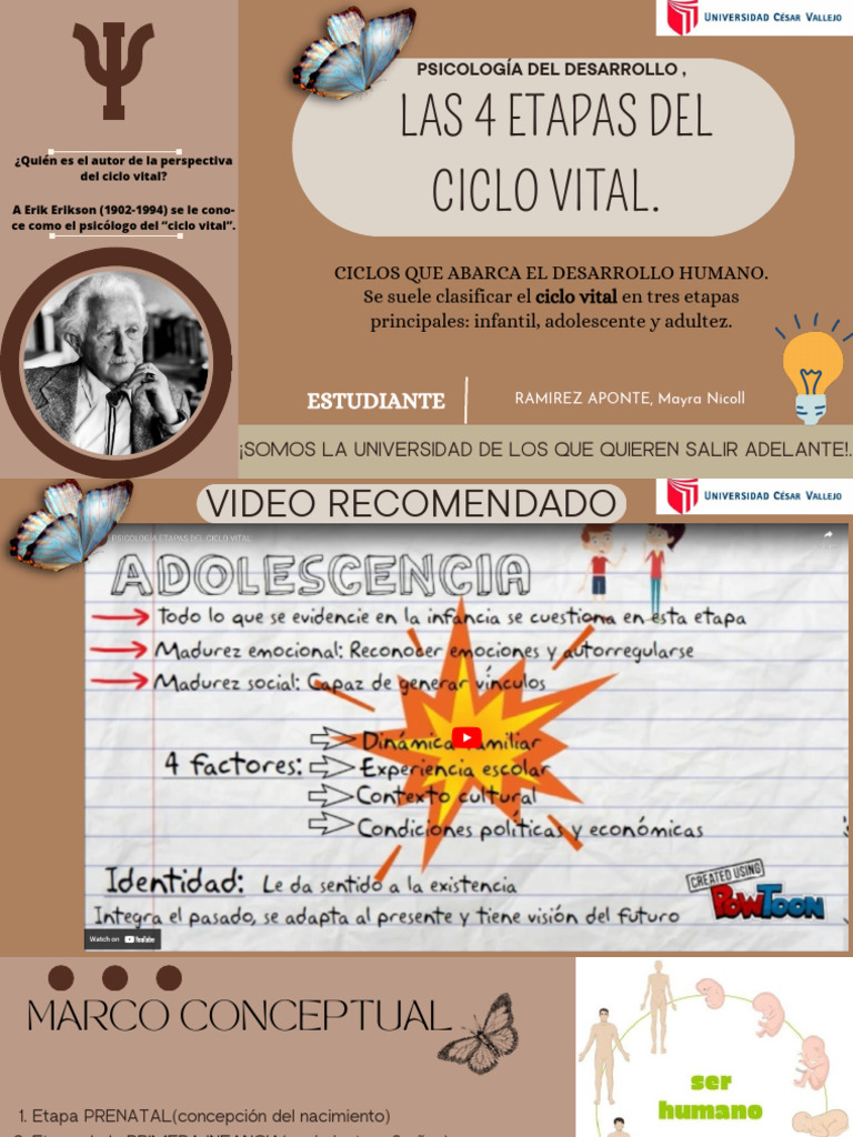 Las 4 Etapas Del Ciclo Vital | PDF