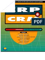 Erp e CRM Excerto