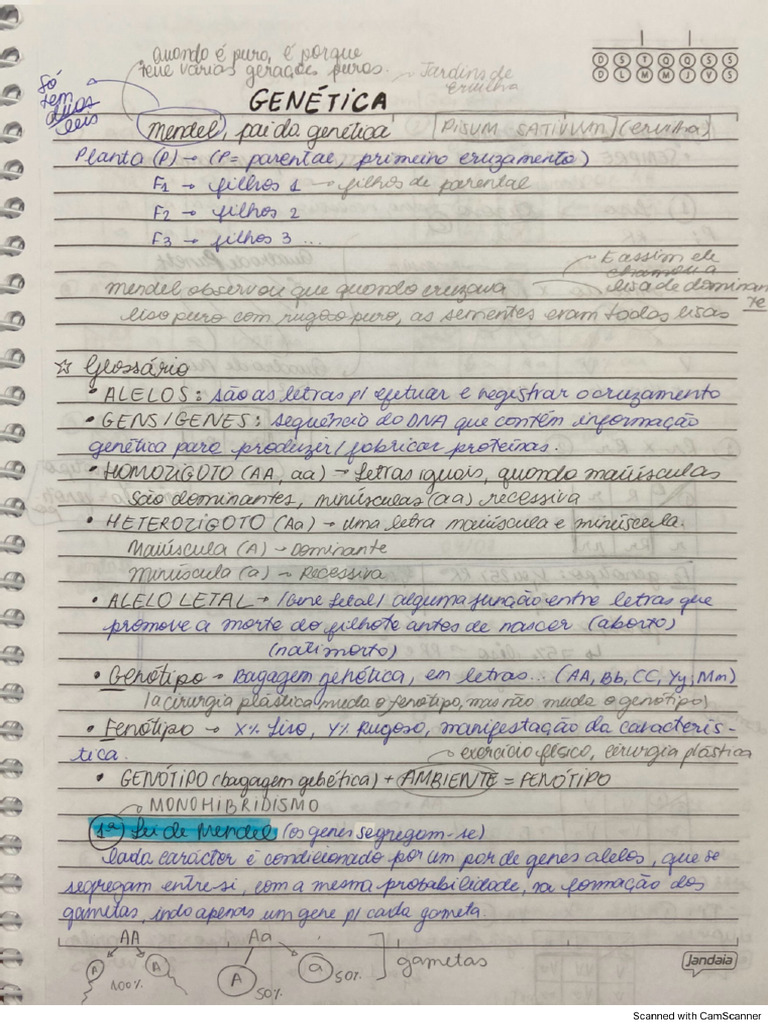 Caderno Biologia Pdf