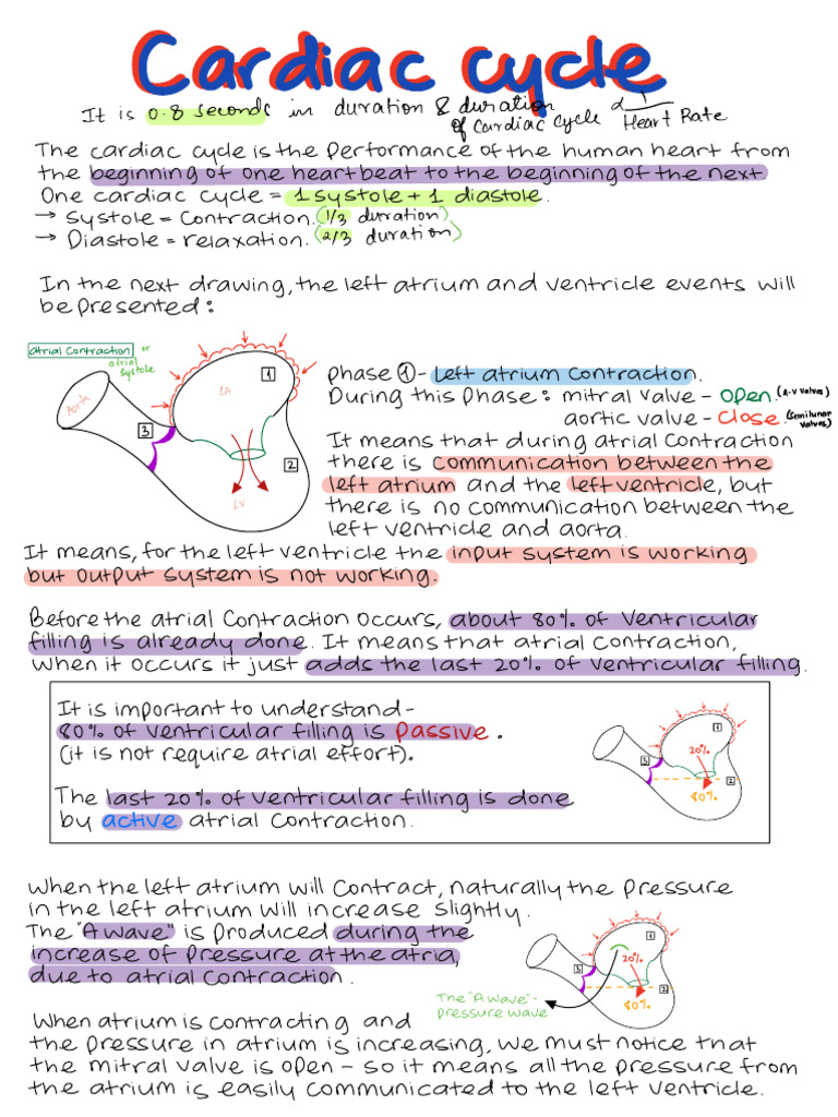 Cardiac Cycle - Dr. Najeeb | PDF