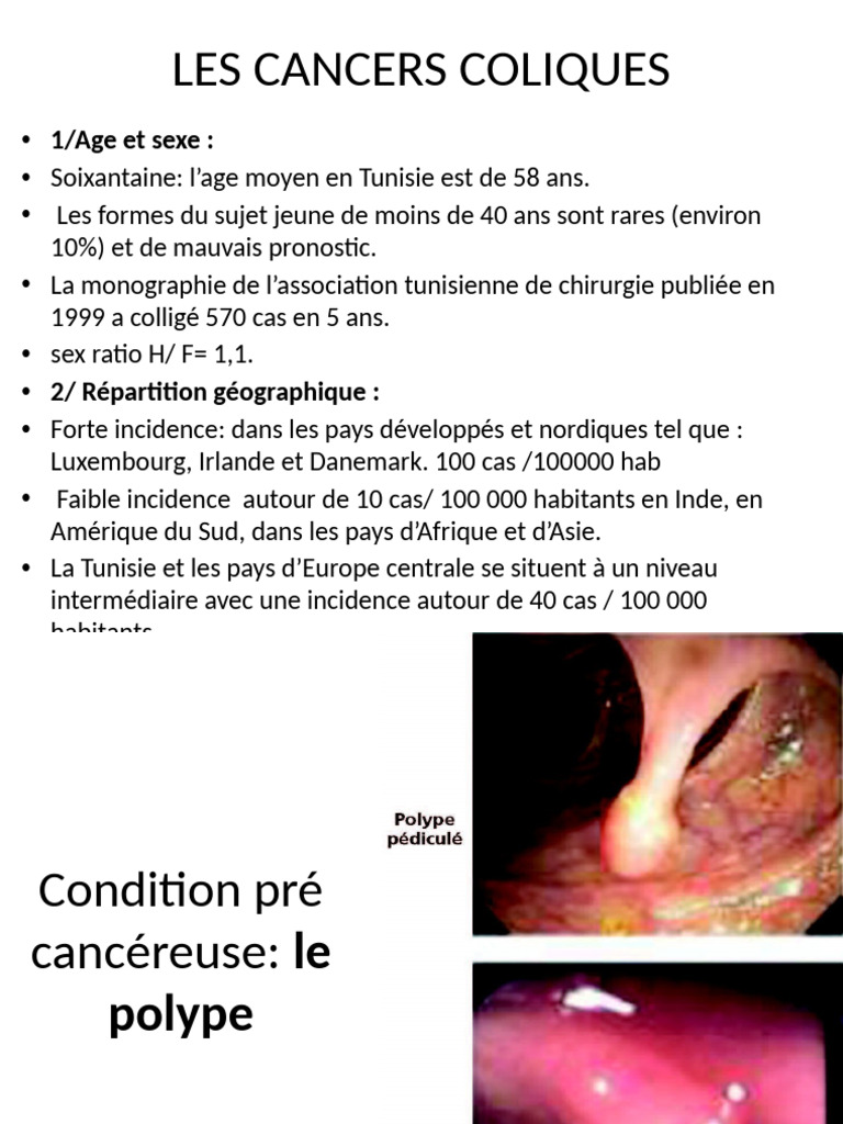 Colon | PDF