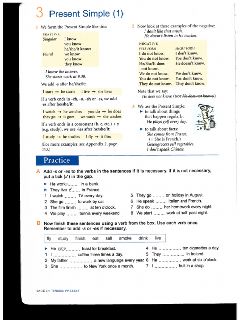 3,4 Present Simple | PDF