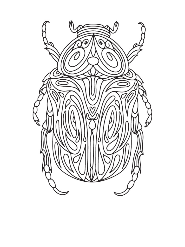 Mandalas - Insectos | PDF