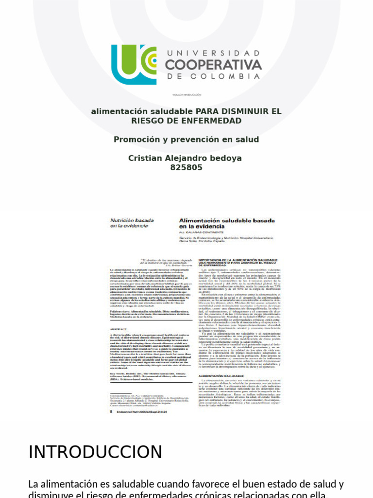 Plantilla Ucc (3) 1 | PDF