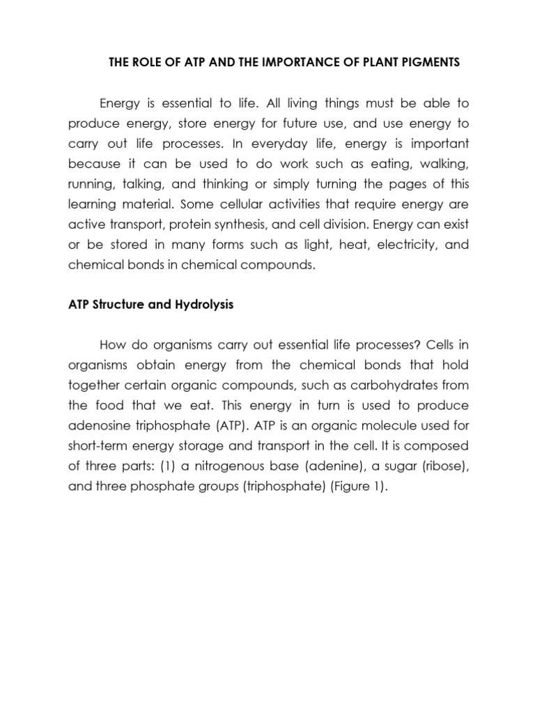 ATP Notes | PDF